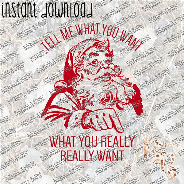 Tell Me What You Want What You Really Really Want INSTANT DOWNLOAD print file PNG