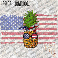 American Flag Pineapple INSTANT DOWNLOAD print file PNG