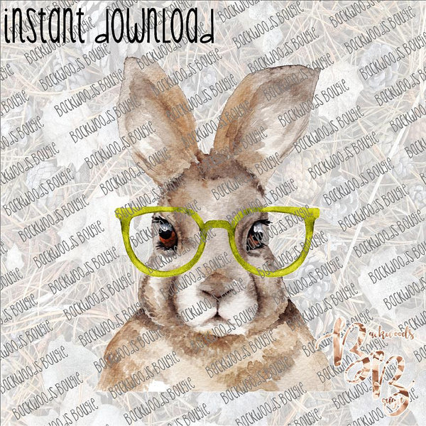 Bunny in Glasses INSTANT DOWNLOAD print file PNG