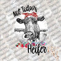 Cow Licking Nose Not Today Heifer SUBLIMATION Transfer READY to PRESS