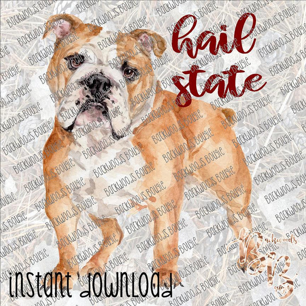 Hail State Bulldog Standing INSTANT DOWNLOAD print file PNG