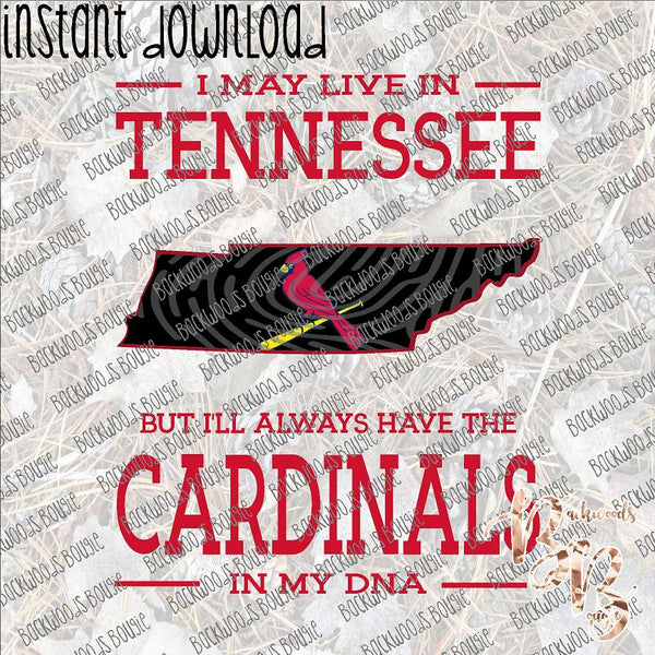 I May Live in Tennessee Cardinals Baseball DNA INSTANT DOWNLOAD print file PNG