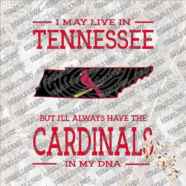 I May Live in Tennessee Cardinals Baseball DNA SUBLIMATION Transfer READY to PRESS