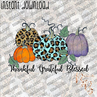 Leopard and Grunge Pumpkins Thankful Grateful Blessed INSTANT DOWNLOAD print file PNG