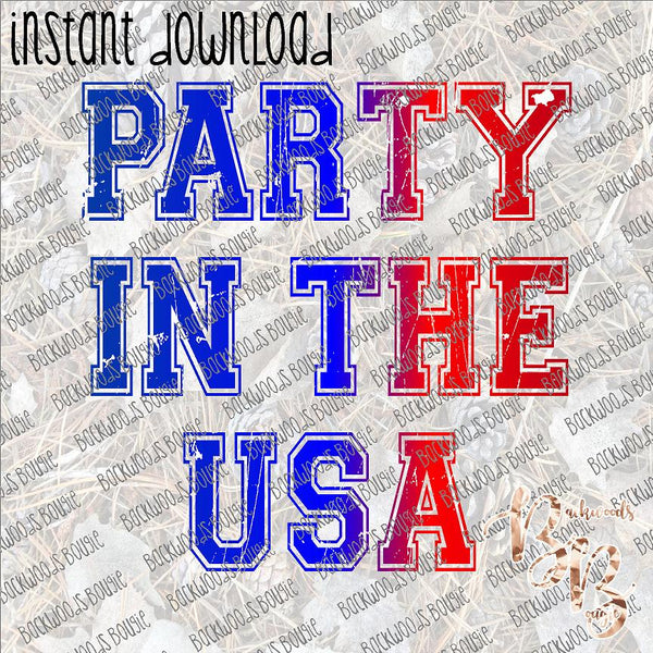 Party in the USA 2 INSTANT DOWNLOAD print file PNG