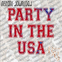 Party in the USA INSTANT DOWNLOAD print file PNG