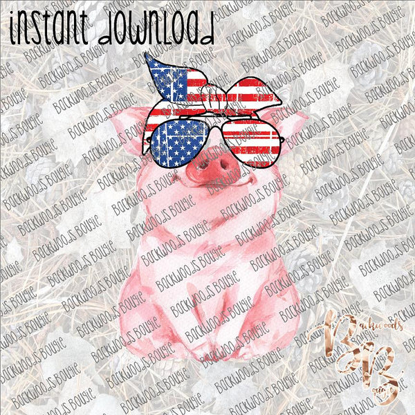 Patriotic Pig INSTANT DOWNLOAD print file PNG