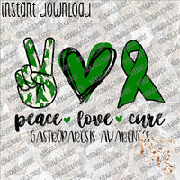 Peace Love Cure Gastroparesis INSTANT DOWNLOAD print file PNG