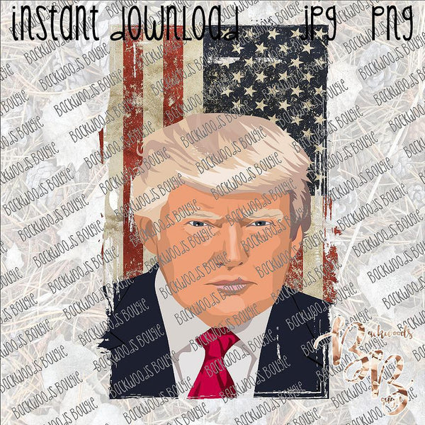 Trump Flag INSTANT DOWNLOAD print file PNG