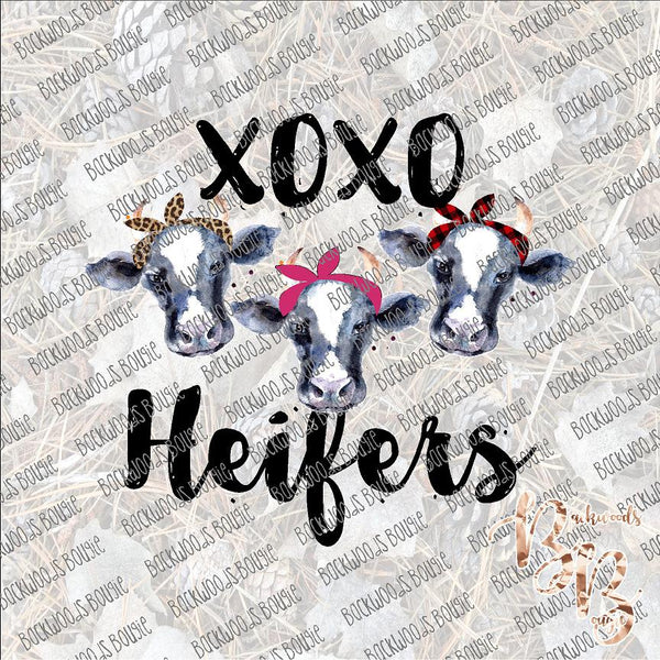 XOXO Heifers SUBLIMATION Transfer READY to PRESS